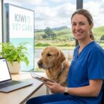 SEO services for veterinary clinics in NZ
